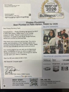 Pirates Plumbing Best Plumber Palm Harbor FL 2026 Award - BusinessRate